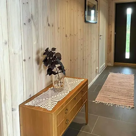 Newly Built On Andoya With Northern Lights * Noss