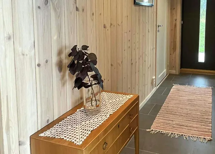 Newly Built On Andoya With Northern Lights * Noss